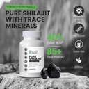 100-pure-shilajit-organic-himalayan-shil-6.jpg
