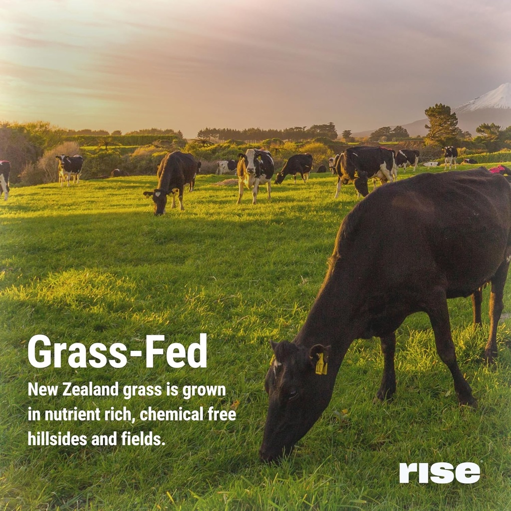 rise-grass-fed-whey-protein-powder---cho-6.jpg