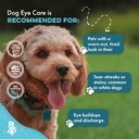 dog-eye-infection-eye-care-support-suppl-5.jpg