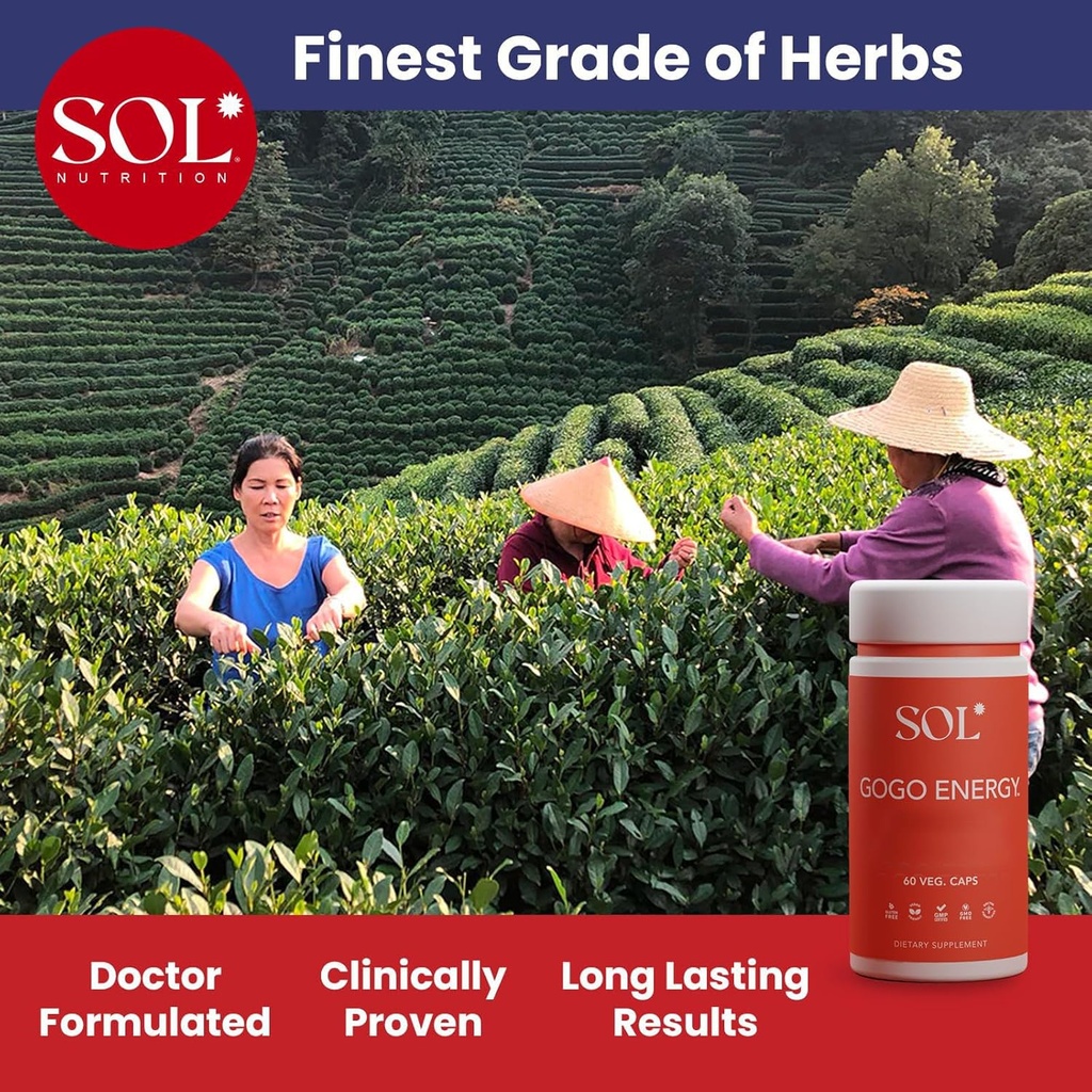 gogo-energy-supplement-natural-energy-bo-4.jpg