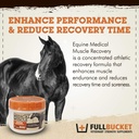 fullbucket-equine-medical-muscle-recover-2.jpg