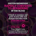 black-forest-5x-berberine-a-dihydroberbe-4.jpg
