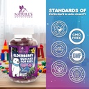 kids-immune-support-elderberry-gummies---4.jpg