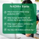 provita-nadh-forte-cognitive-support-sup-3.jpg