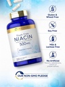 carlyle-niacin-flush-free-500mg-220-caps-4.jpg