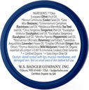 badger---aromatic-chest-rub-eucalyptus-m-2.jpg