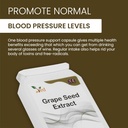 ved-opc-grape-seed-extract-capsules-min--5.jpg