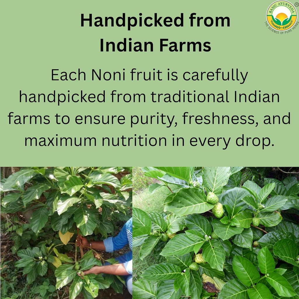 basic-ayurveda-noni-virgin-fruit-juice-1-4.jpg