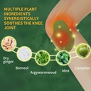 36pcs-knee-patcheswormwood-extract-stick-4.jpg