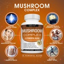 toplux-mushroom-supplement-lions-mane-co-2.jpg
