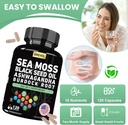 sea-moss-capsules-with-ashwagandha-black-5.jpg