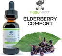 organic-elderberry-tincture---elderberry-6.jpg