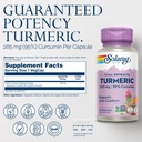 solaray-turmeric-supplement-300-mg---tur-2.jpg