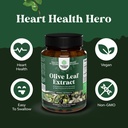 potent-olive-leaf-extract-capsules---hig-3.jpg