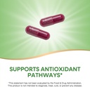 natures-way-beet-root-capsules-supports--2.jpg
