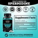 spermidine-supplement-1440mg-of-99-pure--4.jpg