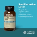 natures-sunshine-small-intestine-detox-1-4.jpg
