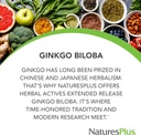 natures-plus-herbal-actives-ginkgo-bilob-3.jpg