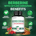 berberine-with-ceylon-cinnamon-supplemen-5.jpg
