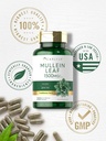 carlyle-mullein-leaf-extract-1500mg-200--5.jpg