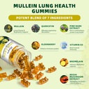 catfit-mullein-gummies-for-lungs-mullein-4.jpg