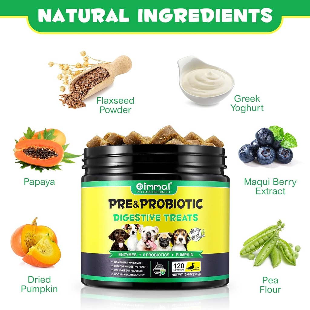 probiotics-for-dogs-digestive-health-dig-5.jpg