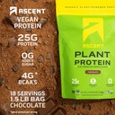 ascent-casein-protein-powder-chocolate-p-5.jpg
