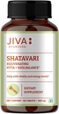 jiva-shatavari-tablets-500mg-ayurvedic-s-2.jpg