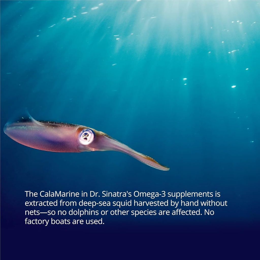 dr-sinatra-calamarine-omega-3-supplement-6.jpg