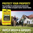 garlic-tunnel-tubes-for-moles-gophers-20-3.jpg
