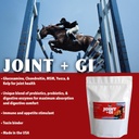 pennwoods-joint-gi-advanced-horse-supple-2.jpg