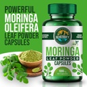 moringa-capsules-by-reherbify-1000mg-60--2.jpg
