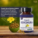 gokshura-120-tablets-tribulus-terrestris-2.jpg