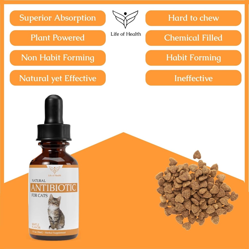natural-antibiotics-for-cats---cat-antib-4.jpg