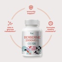 vhc-berberine-supplement-2000mg-daily-10-3.jpg