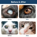 cataract-drops-for-dogs-dog-eye-drops-im-4.jpg