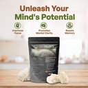 go-nutra---lions-mane-powder-potent-101--2.jpg