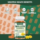 mullein-gummies-for-lung-cleanse-organic-5.jpg