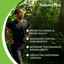 natures-plus-dhea-10-with-bioperine---10-5.jpg