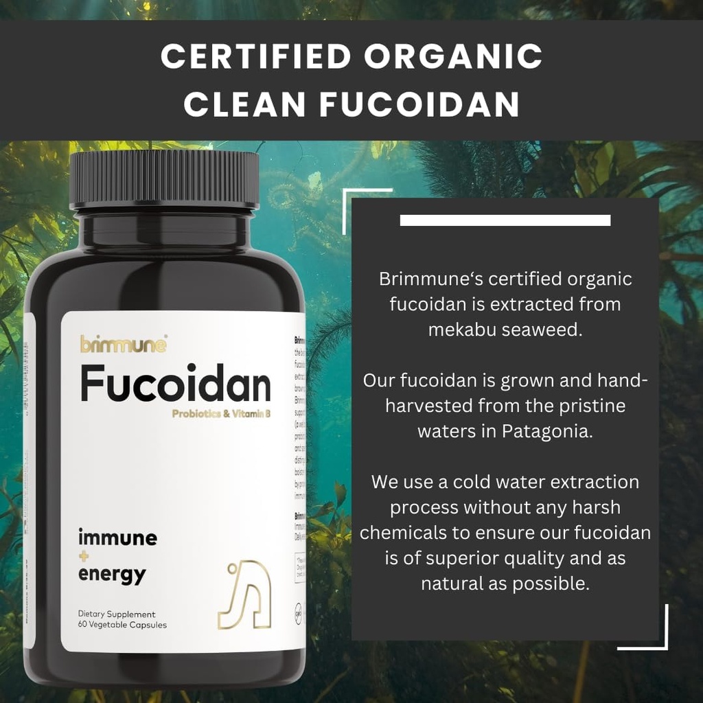 certified-organic-fucoidan-500-mg-pure-a-5.jpg