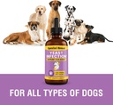 yeast-infection-treatment-for-dogs---4-o-4.jpg