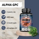 apollos-hegemony-alpha-gpc-600mg-per-dai-3.jpg
