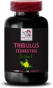 stamina-power---tribulus-terrestris-extr-2.jpg