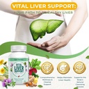 vital-liver-support-new-formula-liver-su-3.jpg