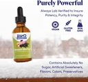 zand-herbals-insure-herbal-liquid-blend--4.jpg