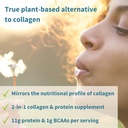 igennus-advanced-vegan-vanilla-collagen--3.jpg