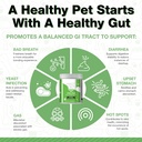 probiotics-for-dogs---diarrhea-relief-gu-3.jpg