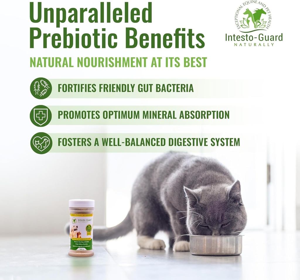 powder-probiotics-for-dogs-cats-bowel-di-3.jpg