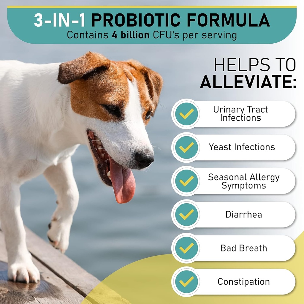 probiotic-chews-for-dogs-support-digesti-3.jpg