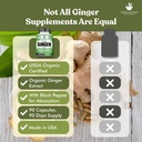 american-standard-supplements-organic-gi-5.jpg